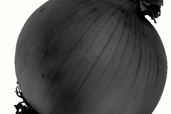 Как вывести деньги с kraken